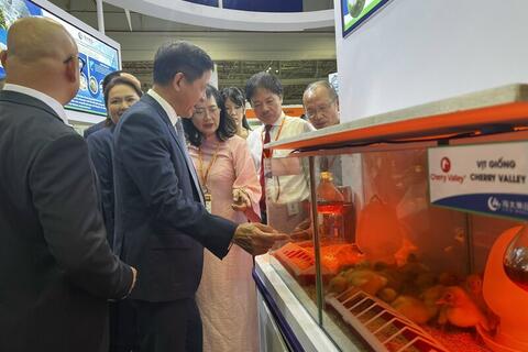 Hơn 300 doanh nghiệp trưng bày tại triển lãm Vietstock 2025