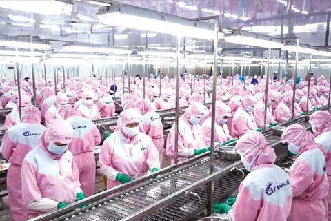 Tín dụng ngân hàng “chắp cánh” thủy sản Đồng bằng sông Cửu Long phát triển