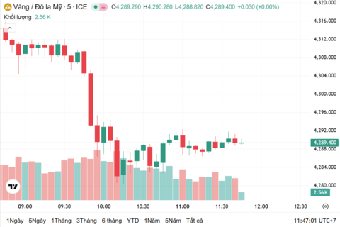 Ngày 16/12: Giá vàng trong nước giảm sâu
