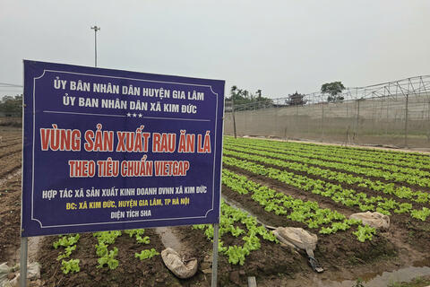 Hà Nội phát triển mạnh kinh tế tập thể, hợp tác xã theo hướng xanh, số