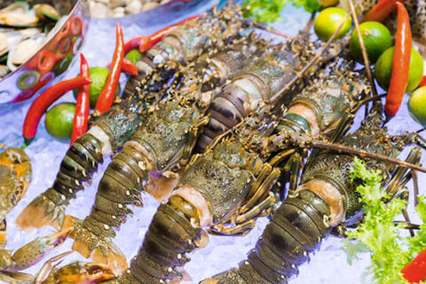 Trung Quốc ‘tăng chi’ cho phân khúc cao cấp, xuất khẩu tôm Việt hưởng lợi