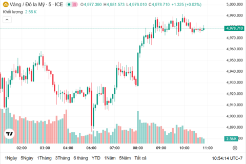 Ngày 13/2: Giá vàng trong nước giảm mạnh