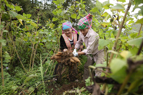 Nâng năng lực quản lý, mở lối thương mại điện tử về địa phương