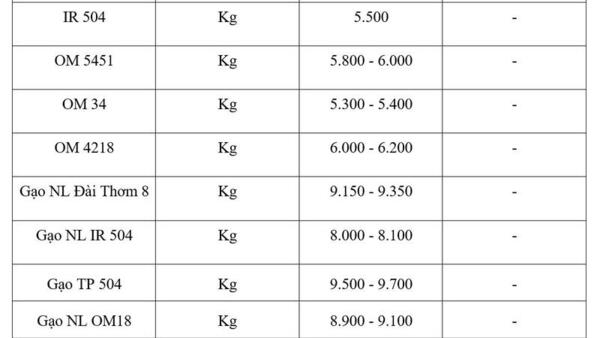 Giá lúa gạo hôm nay ngày 11/3/2026: Gạo xuất khẩu OM 5451 tiếp đà tăng