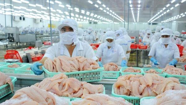 Vốn ngân hàng “dẫn mạch” để tỉnh An Giang và Cà Mau bứt phá tăng trưởng