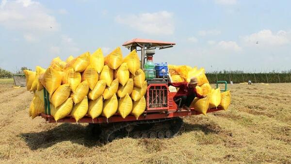 ‏Khi dòng vốn ngân hàng trở thành “chìa khóa” tăng trưởng kinh tế tỉnh An Giang‏‏ ‏