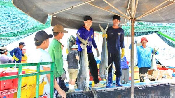 Chuẩn hóa sản xuất, Gia Lai hướng mục tiêu xuất khẩu 3,05 tỷ USD