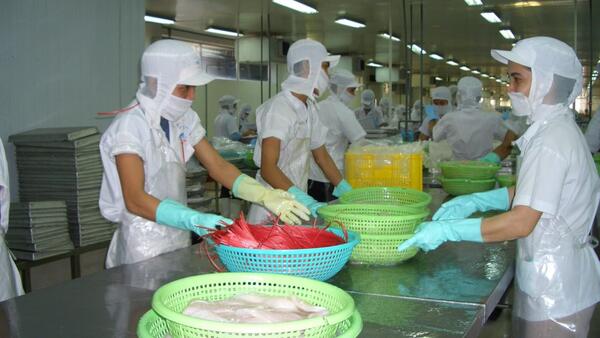 Xuất khẩu thủy sản quý II dự báo tăng nhưng phân hóa theo thị trường