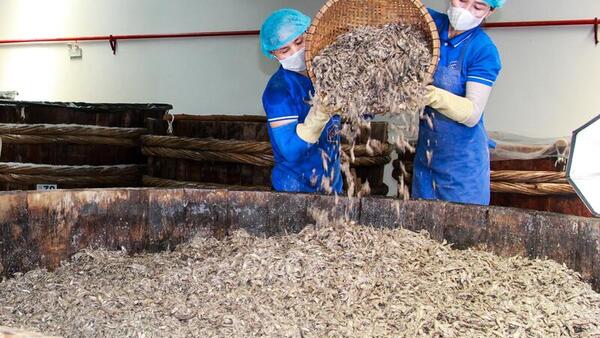 Xây dựng chuỗi thực phẩm sạch, nâng tầm nông sản Việt