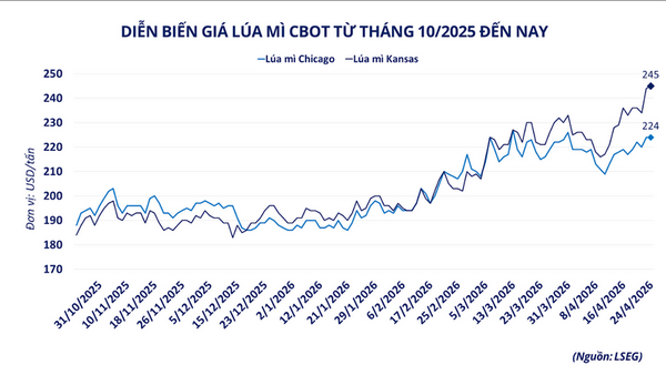 Giá lúa mì tăng vọt trong bối cảnh rủi ro nguồn cung gia tăng