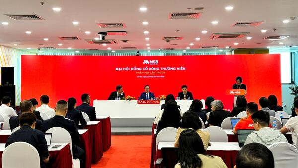 ĐHĐCĐ MSB: Mục tiêu lãi 8.000 tỷ đồng, kỳ vọng định giá TNEX Finance 1-2 tỷ USD trong 5-7 năm tới