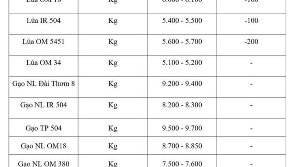 Giá lúa gạo hôm nay ngày 24/4/2026: Lúa tươi đồng loạt giảm nhẹ