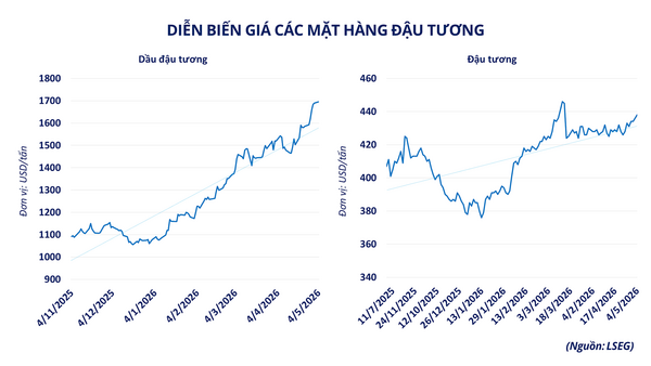 Thị trường hàng hóa "neo" theo giá dầu