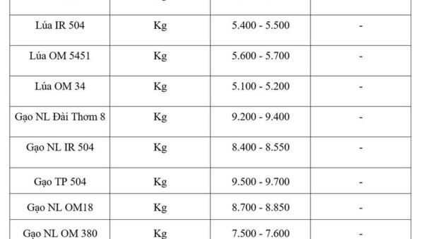 Giá lúa gạo hôm nay ngày 12/5: Gạo thơm xuất khẩu neo cao
