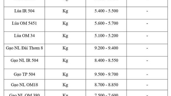 Giá lúa gạo hôm nay ngày 15/5/2026: Gạo thường giảm 1.000 đồng/kg