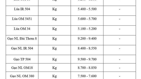 Giá lúa gạo hôm nay ngày 18/5/2026: Gạo xuất khẩu nguyên liệu tăng