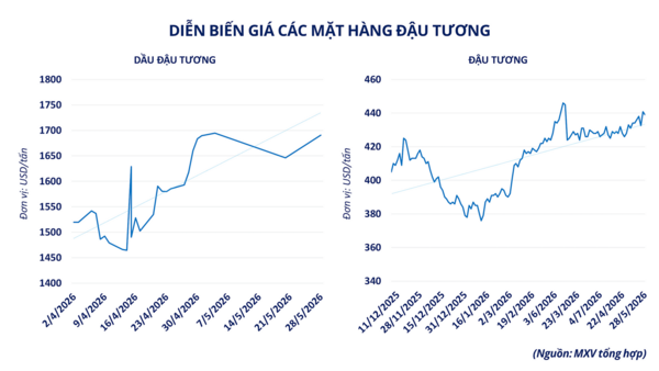 Đồng bạc xanh suy yếu, dòng tiền quay lại thị trường kim loại quý