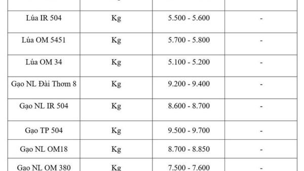 Giá lúa gạo hôm nay ngày 1/6/2026: Lúa tươi vững giá