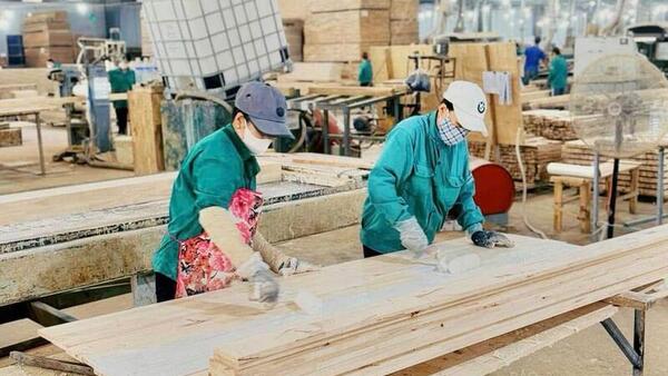 Gia Lai: Sản xuất công nghiệp, xuất khẩu và bán lẻ đồng loạt tăng