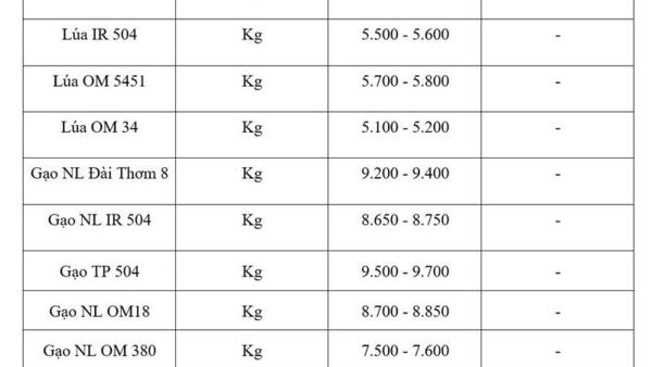 Giá lúa gạo hôm nay ngày 3/6/2026: Gạo xuất khẩu biến động