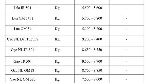 Giá lúa gạo hôm nay ngày 5/6/2026: Gạo xuất khẩu tăng