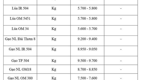 Giá lúa gạo hôm nay ngày 13/7/2026: Tấm thơm tăng nhẹ