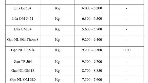 Giá lúa gạo hôm nay ngày 15/7/2026: Gạo nguyên liệu xuất khẩu tăng nhẹ
