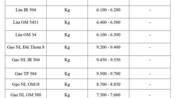 Giá lúa gạo hôm nay ngày 22/7/2026: Gạo xuất khẩu tiếp đà tăng