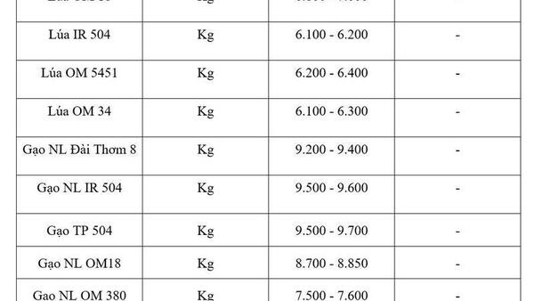 Giá lúa gạo hôm nay ngày 23/7: Gạo thơm Jasmine tăng 1.000 đồng/kg