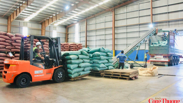 Cà phê tiếp tục giữ 'ngôi vương' xuất khẩu của Gia Lai