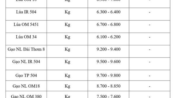 Giá lúa gạo hôm nay ngày 10/8/2026: Lúa tươi neo giá cao