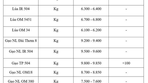 Giá lúa gạo hôm nay ngày 11/8/2026: Gạo nguyên liệu xuất khẩu tăng