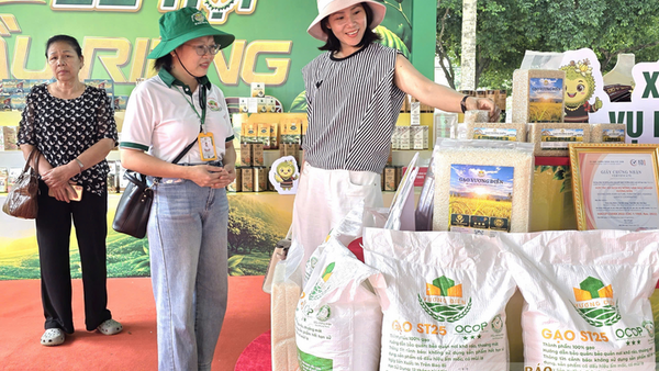 Khai mạc khu trưng bày 400 gian hàng kết nối sầu riêng Đắk Lắk