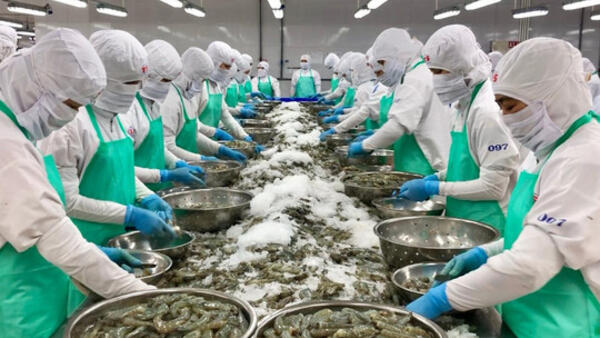 Thủy sản Việt còn nhiều dư địa để mở rộng thị trường nội địa