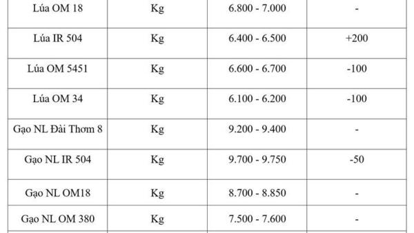 Giá lúa gạo hôm nay ngày 20/8/2026: Lúa tươi biến động trái chiều