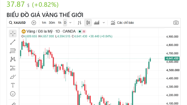 Ngày 24/8: Giá vàng trong nước đồng loạt tăng