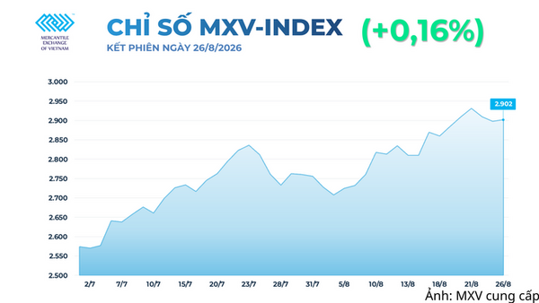 Giá lúa mì tăng hơn 6% giữa lo ngại đứt gãy nguồn cung