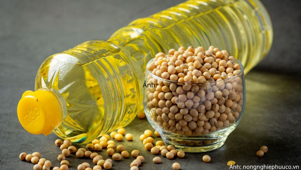 Giá dầu đậu tương tăng nhờ triển vọng nguồn cung và nhu cầu tích cực