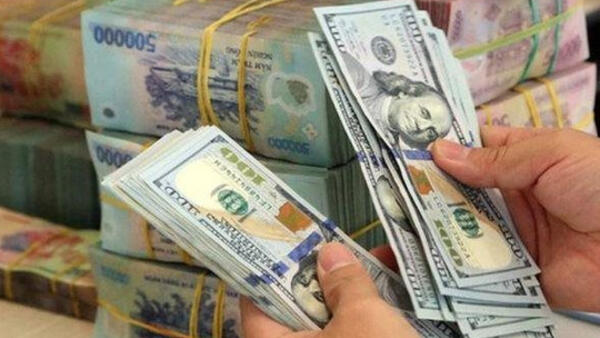 Tỷ giá và lãi suất cuối năm 2026: Sức ép từ bên ngoài và lá chắn từ nội lực