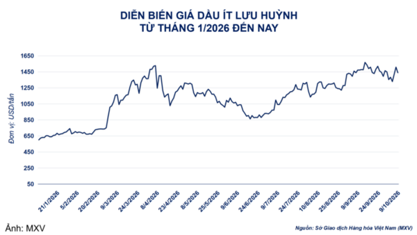 Giá đậu tương kỳ hạn tháng 11 tăng 1,1%, lên 474,7 USD/tấn