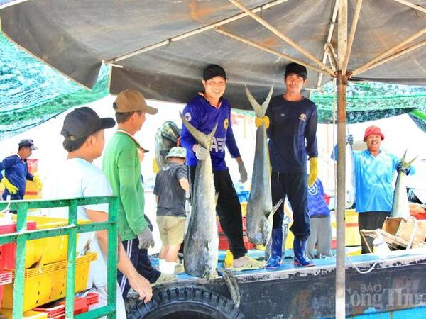 Chuẩn hóa sản xuất, Gia Lai hướng mục tiêu xuất khẩu 3,05 tỷ USD