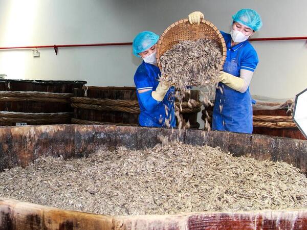 Xây dựng chuỗi thực phẩm sạch, nâng tầm nông sản Việt