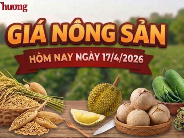 Giá nông sản hôm nay 17/4/2026: Đồng loạt giảm sâu