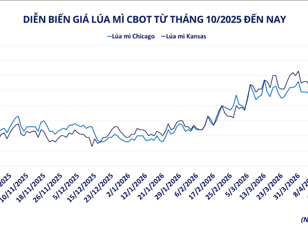 Giá lúa mì tăng vọt trong bối cảnh rủi ro nguồn cung gia tăng