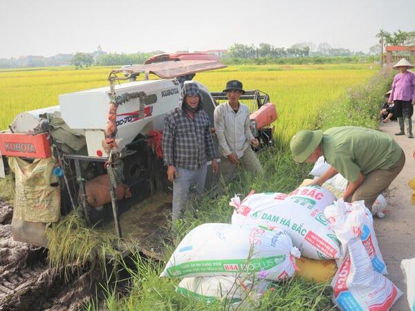 Xuất khẩu giảm tốc, ngành lúa gạo đứng trước yêu cầu đổi hướng
