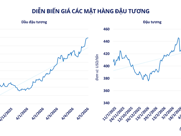 Thị trường hàng hóa "neo" theo giá dầu
