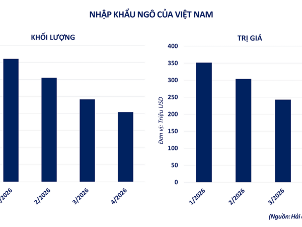 Thị trường năng lượng hạ nhiệt, nông sản hút dòng tiền