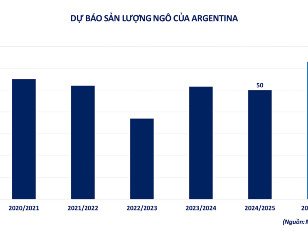 Áp lực bán lan rộng trên thị trường hàng hóa