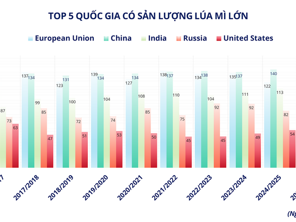 Thiếu cung đẩy giá cao su lên cao nhất 9 năm, áp lực mùa vụ gây sức ép lên giá lúa mì