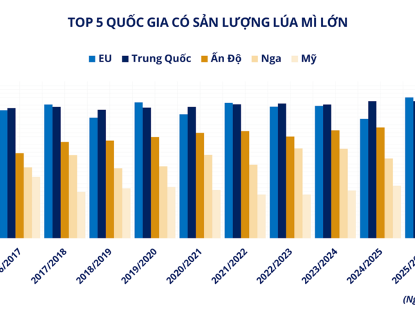 Đồng USD suy yếu, giá nhiều mặt hàng tăng mạnh trên thị trường giao dịch hàng hóa